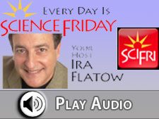 Everitt interview on Science Friday
