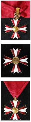 Austrian Cross of Honour for Science and Art, First Class